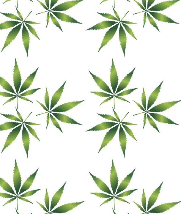 weed leaf, oakland revised medical cannabis regulations focus #18558