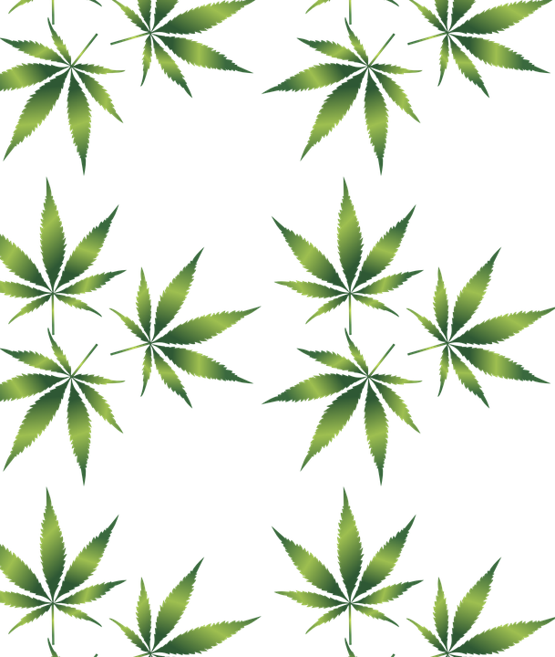 Weed Leaf Transparent Background