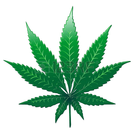 weed leaf, pot leaf png #18493