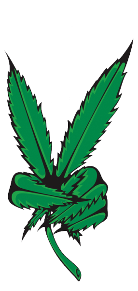 weed leaf, weed marijuana png pot leaf transparent transparent png #18560