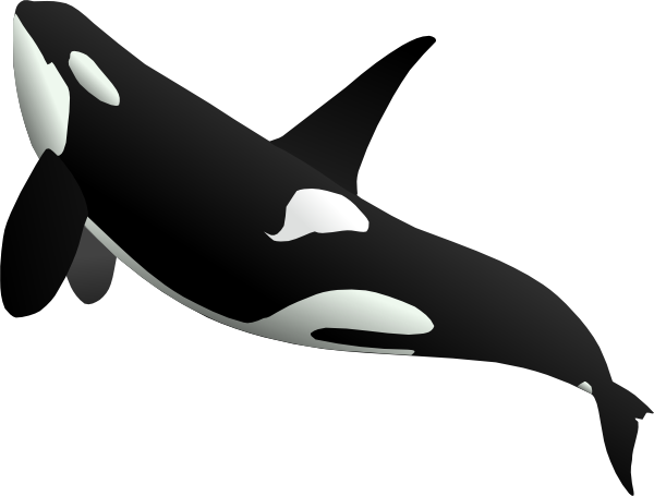 ascending whale clip art clkerm vector clip art #23936