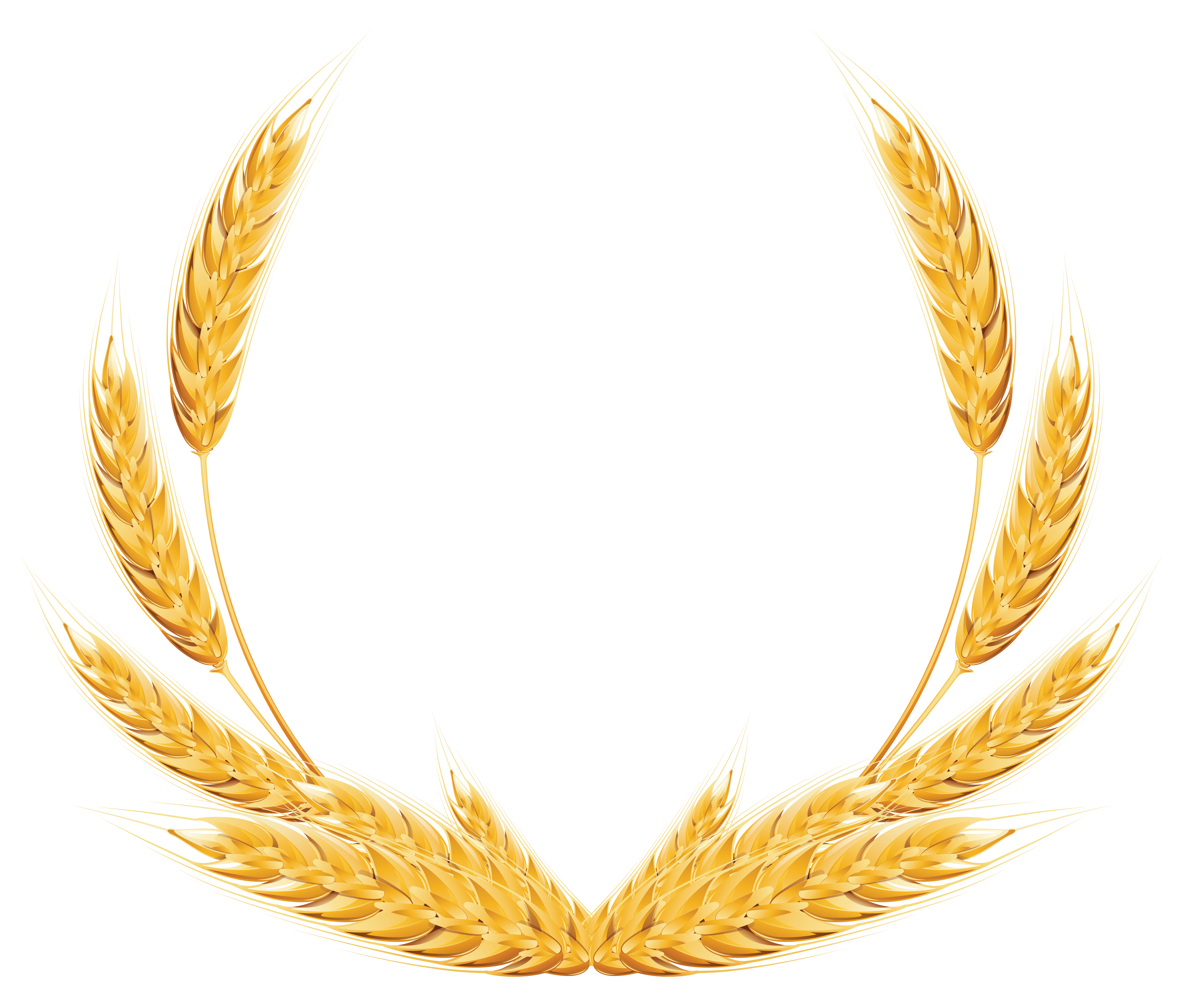 Wheat Transparent PNG Clipart Images Free Download