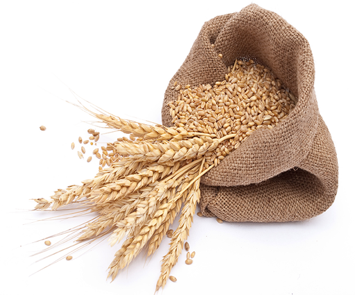 india wheat rises futures trade agrodaily #16667