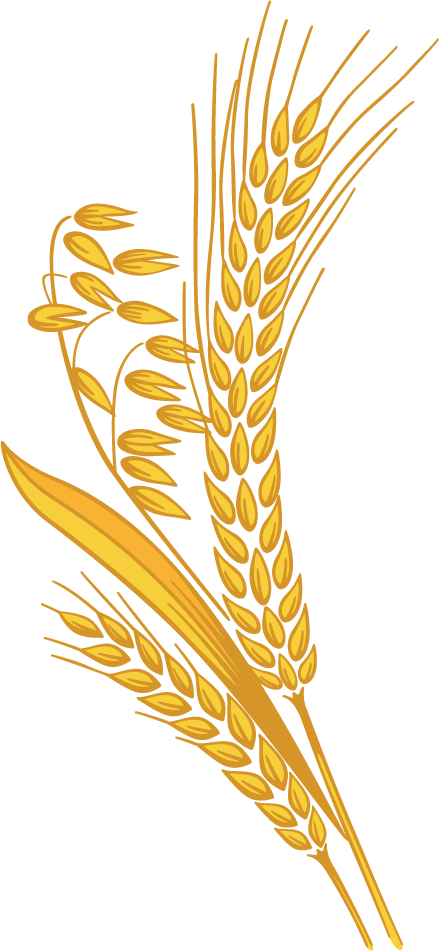 free wheat clipart