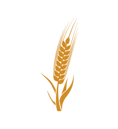 wheat, premium agriculture icons canva #16674