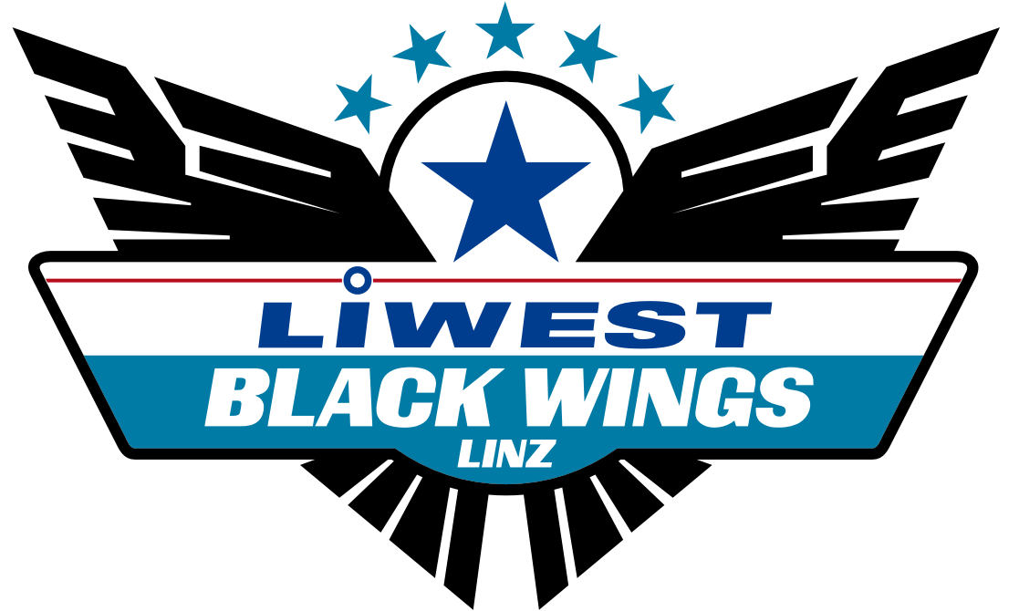 Liewst black wings png transparent logo #1203