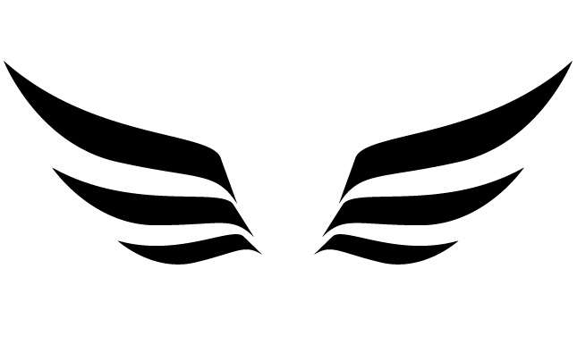 two wings simple png #1204