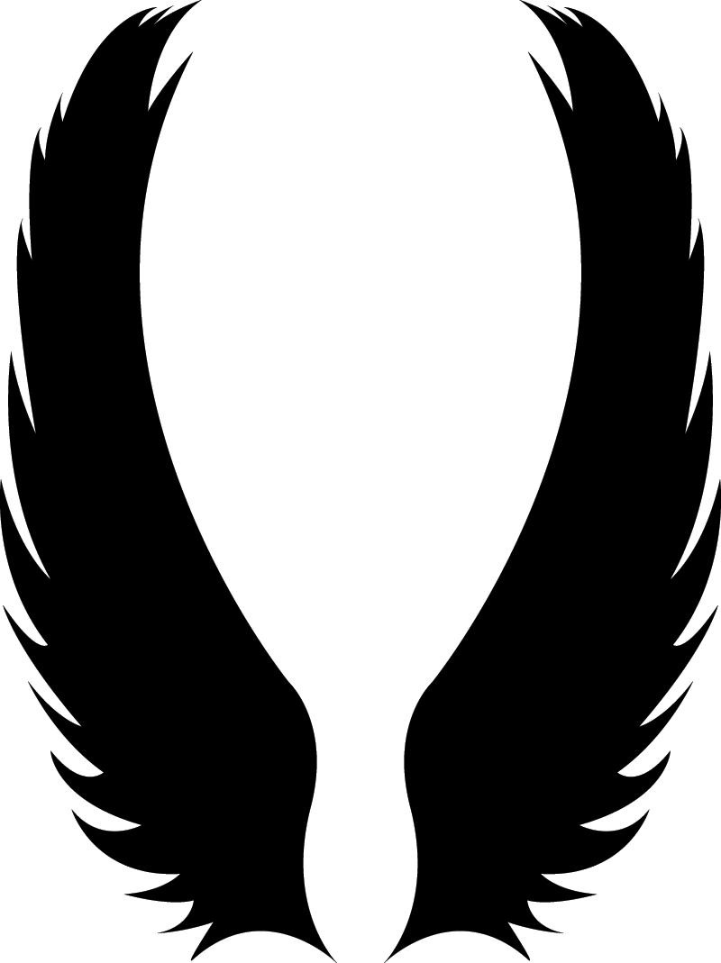 bird`s wing transparent png #1210