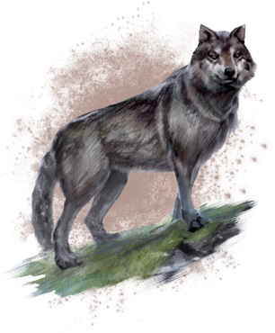 wolf, bleakrock isle elder scrolls online wiki #19441