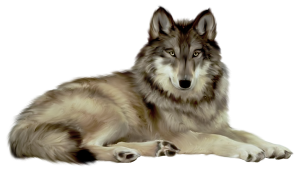 wolf png jadesoo deviantart #19458