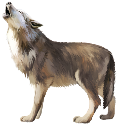 wolf, png lobo transparent lobo images pluspng #19492