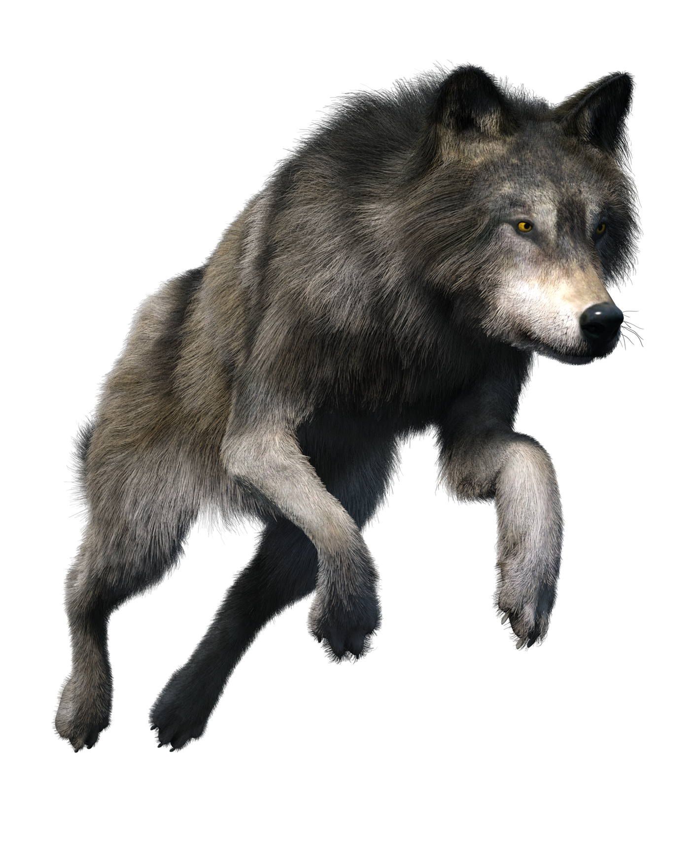 Wolf Png Stock Illustrations – 410 Wolf Png Stock Illustrations