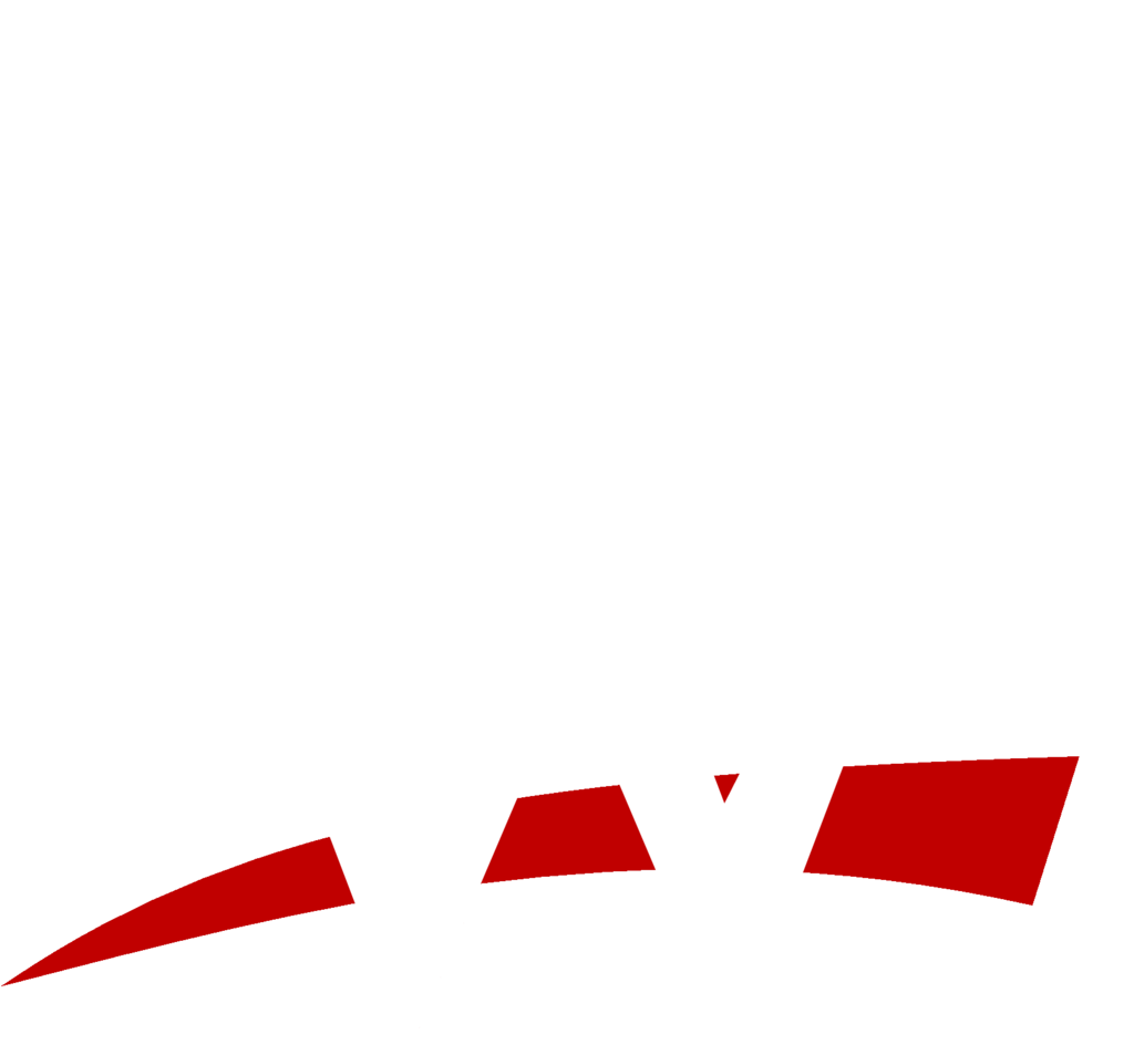 wwe logo white #2468