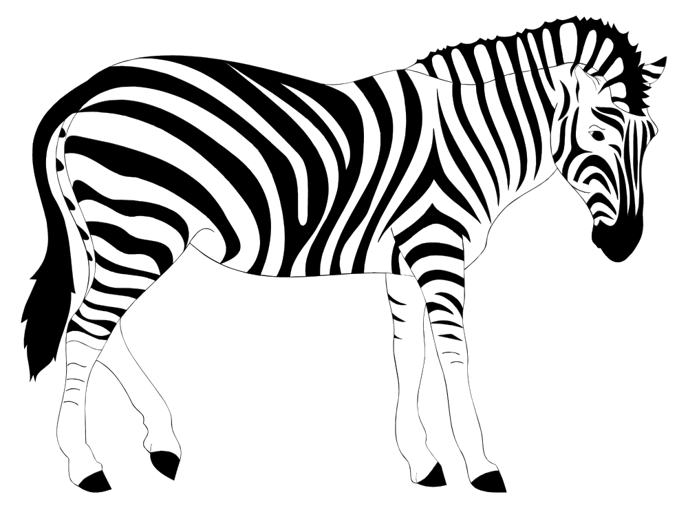 onlinelabels clip art realistic zebra illustration #29647