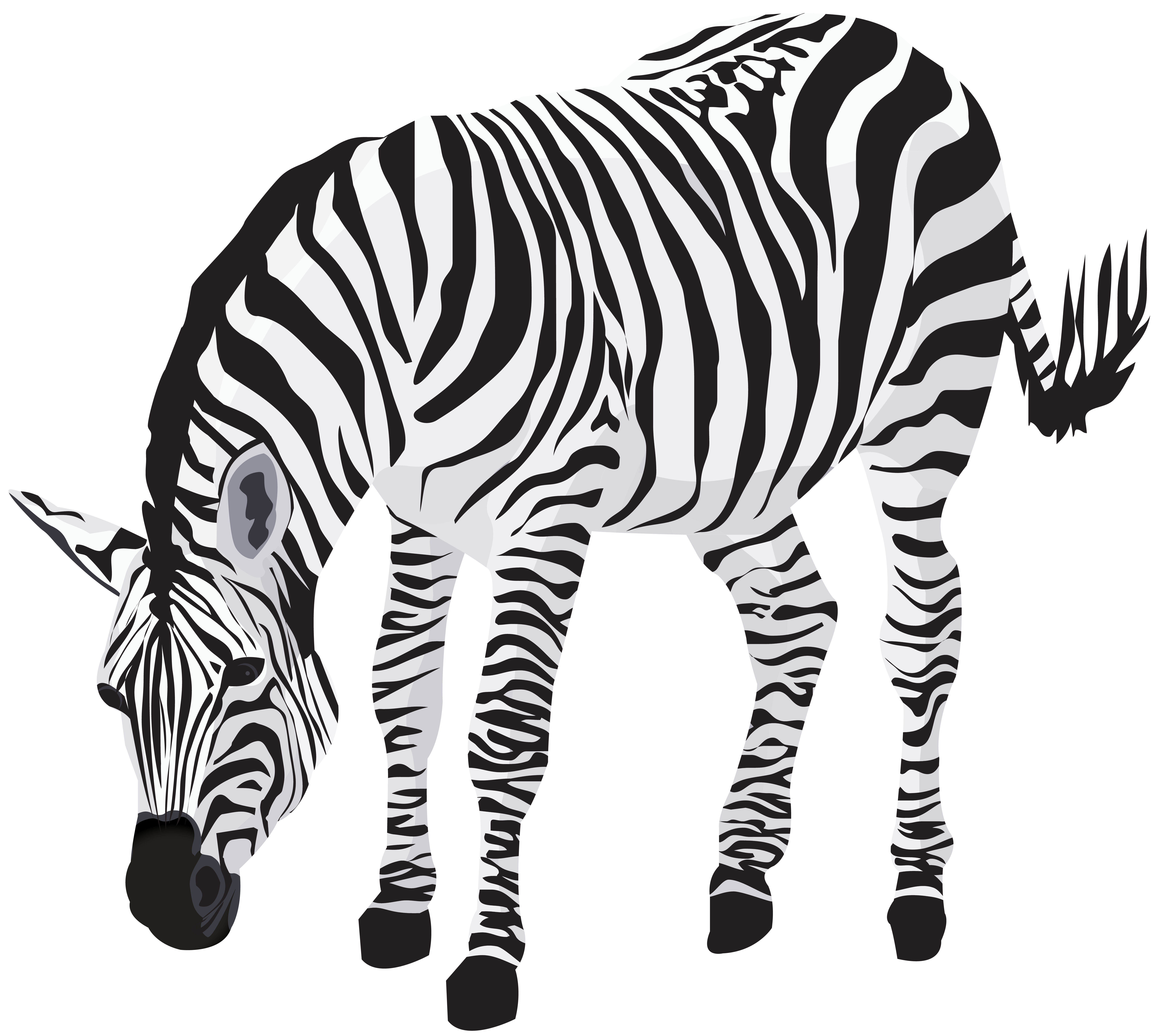 zebra clipart image gallery yopriceville high quality images and transparent png clipart #29718