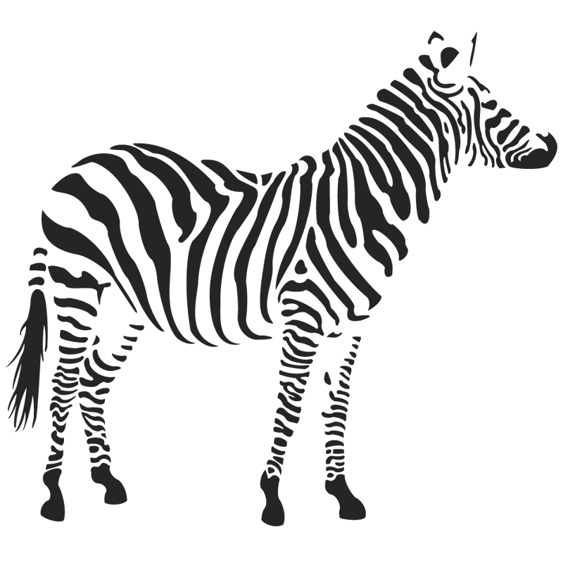 Zebra PNG, Zebra Safari, Zebra Desenho Free Download