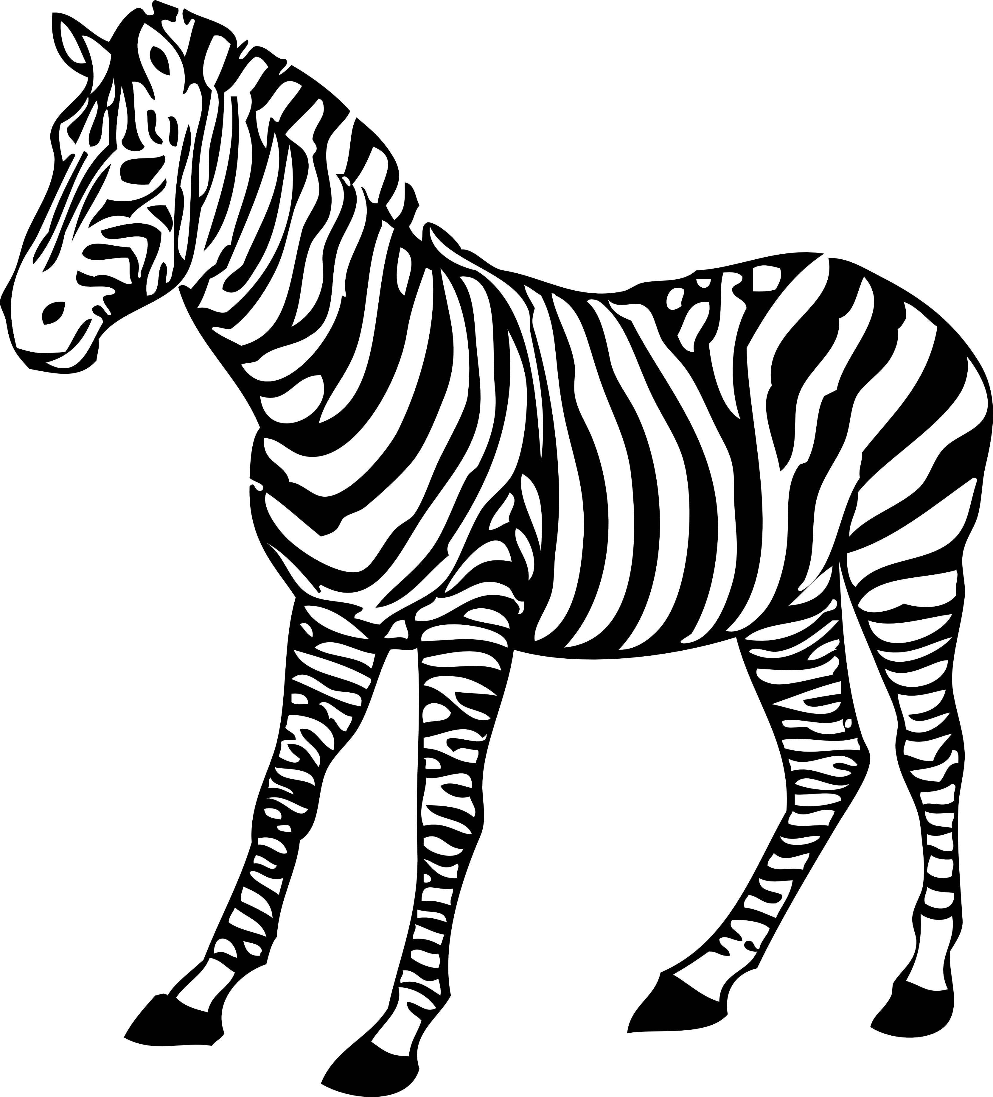 zebra png image collection for download crazypngm crazy png images download #29637
