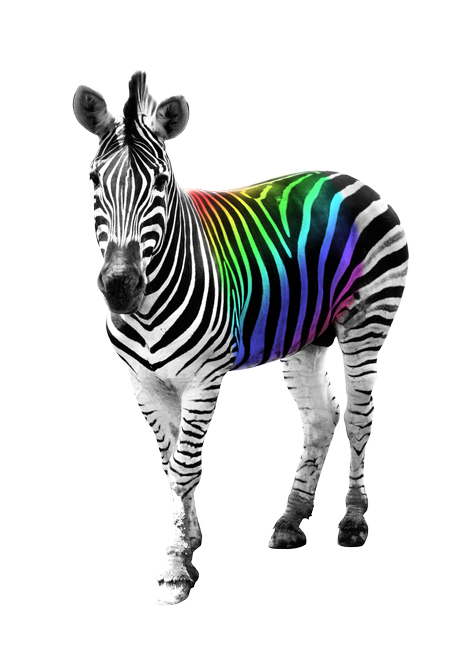 zebra png images #29699