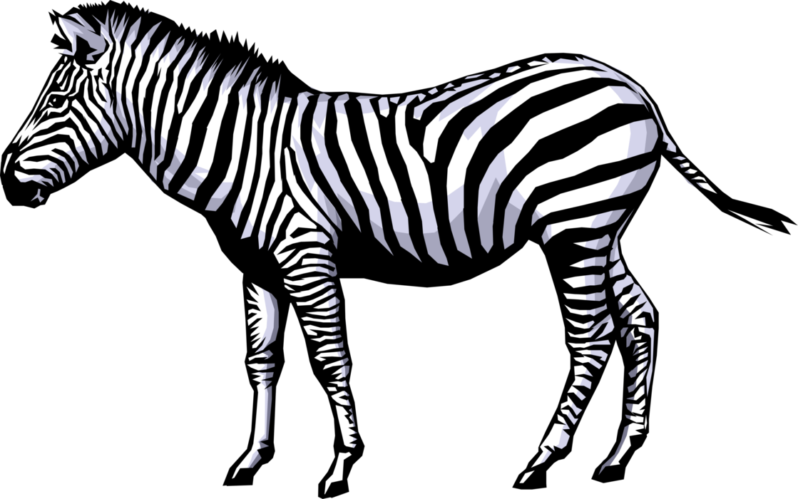 zebra png transparent zebra images pluspng #29643